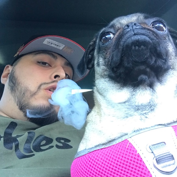 ozthepugdad